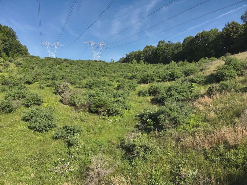 DJI_20240521083036_0008_V