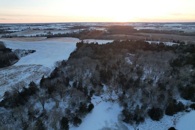 DJI_0534