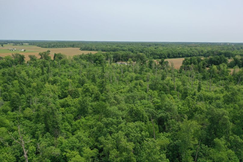 DJI_0293