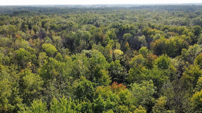 dji_fly_20240826_164510_388_1724708977442_photo_optimized