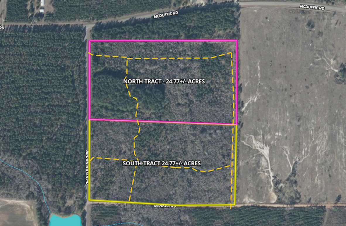 Screenshot 2026-02-17 at 11.17.54 AM