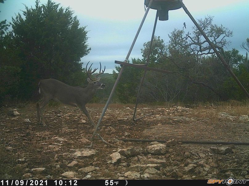 Game Camera 6