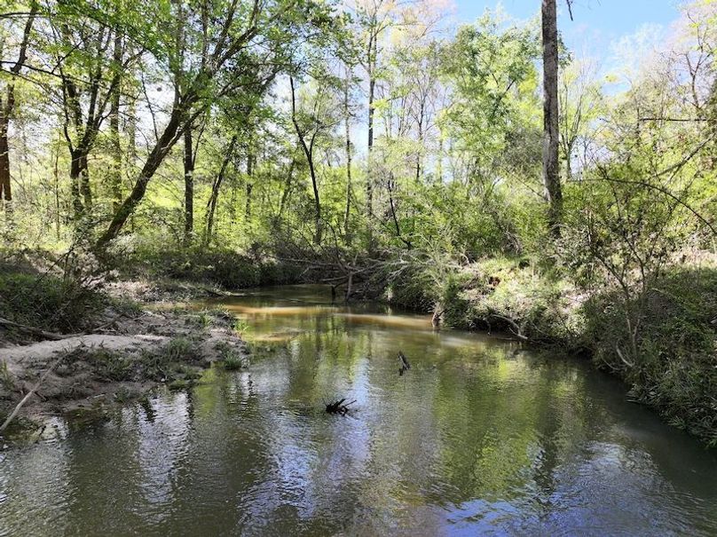 dji_fly_20260317_093334_0406_1773768875193_photo