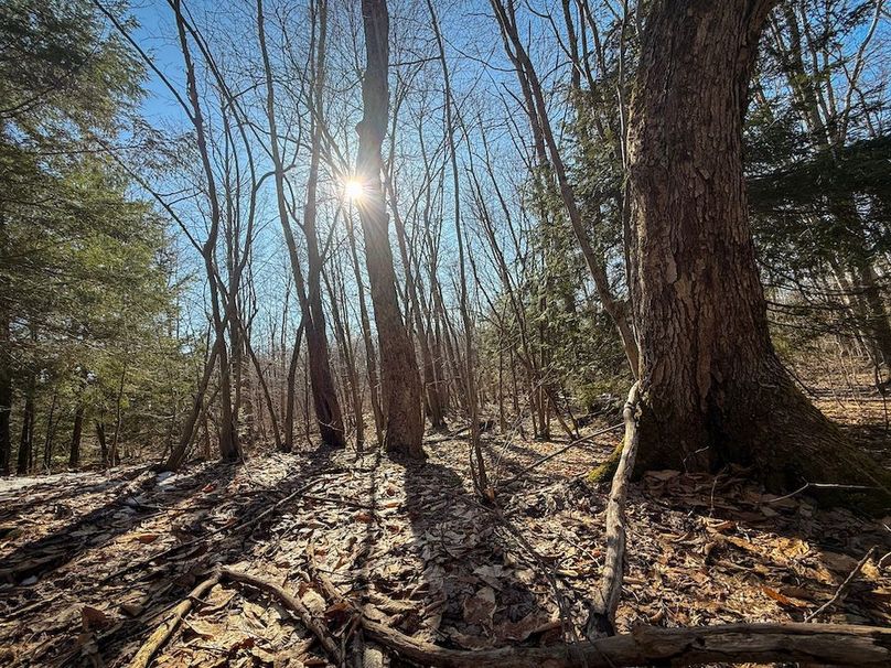 Oswego_16.32_Phillips Photo 17