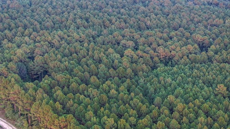 DJI_20250918184312_0260_D