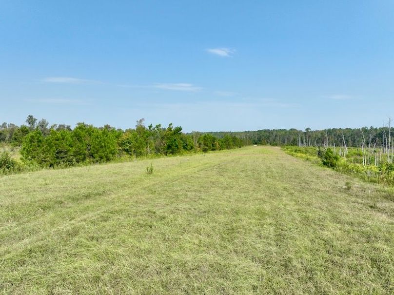 dji_fly_20250918_112546_196_1758209475447_photo