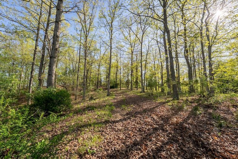 Hampshire WV 106 Featured_Pro Photo-34
