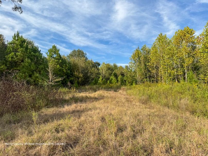 DeSoto 329 Prewett (Thompson) -33