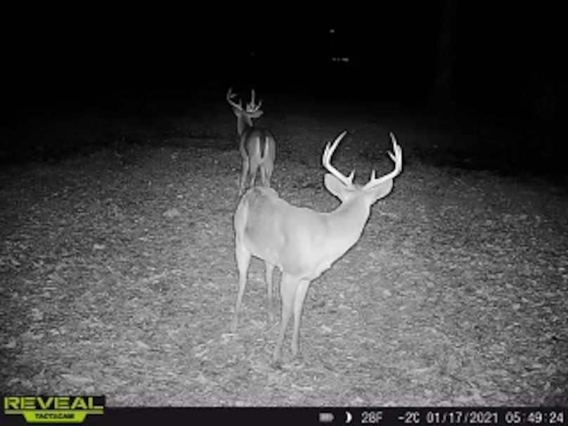 de6213a5-c102-4a2f-a5ed-5ebe744ac5ea copy