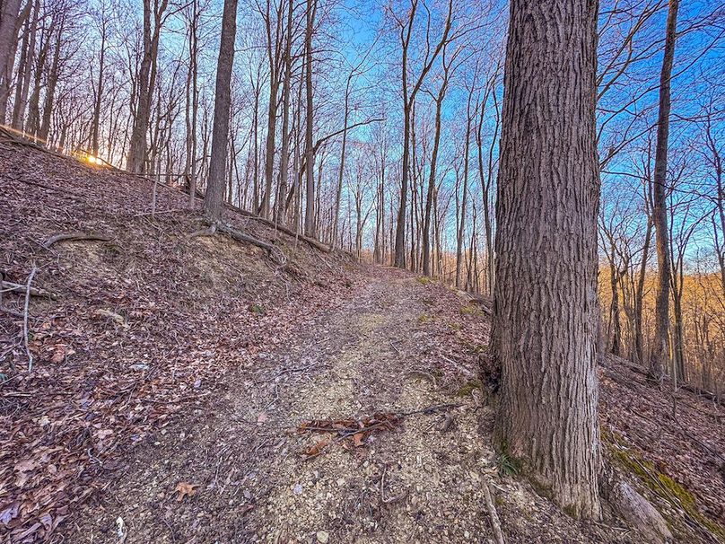 Pleasants, WV 81 AC Barron-21