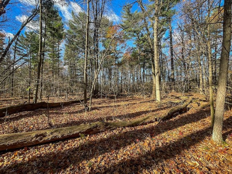 Portage 150.81 JMJK Prop-55