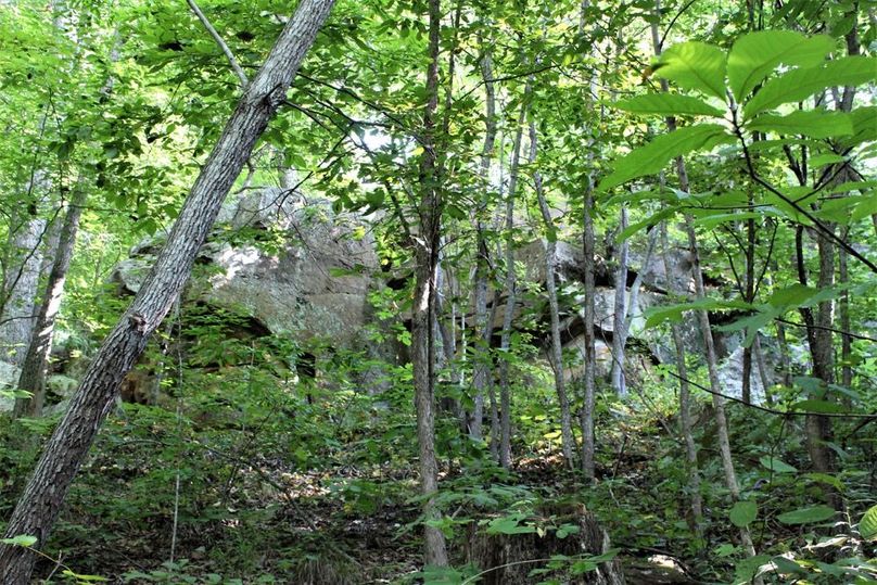 020 notice the big rock fact amidst the trees along the north boundary ridge