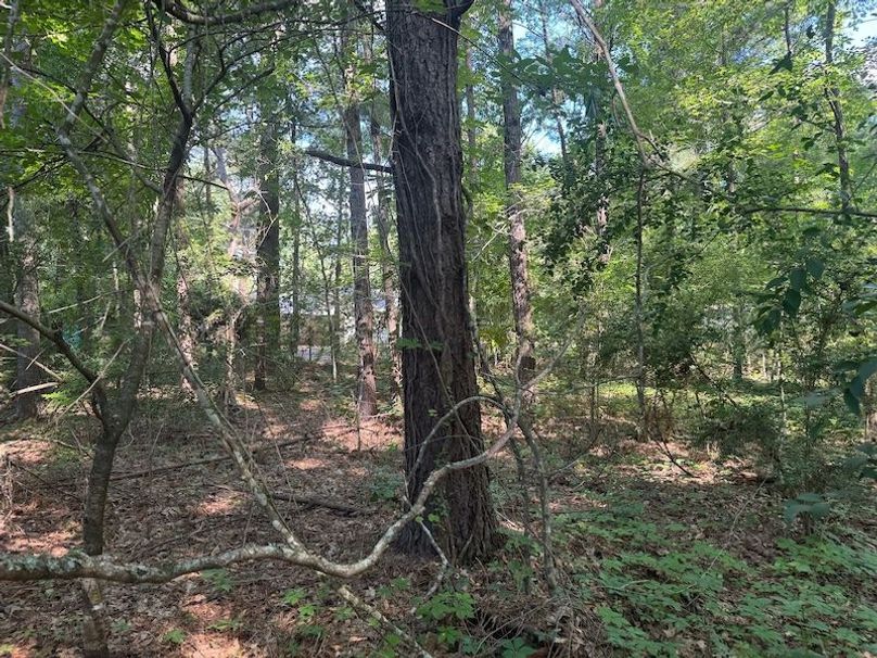 6C9D095D-351C-43F0-81CA-C5B667D183F4