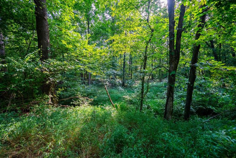 Copy of DSC06218 Large