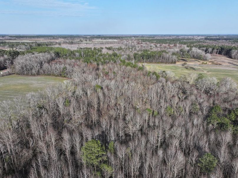 dji_fly_20240226_160254_0063_1709382209824_photo