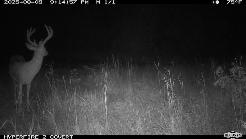 TwinStatesTrailCam07