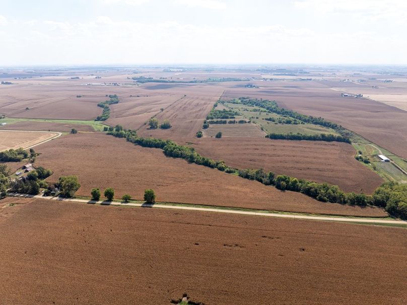 Copy of Whiteside 181_7