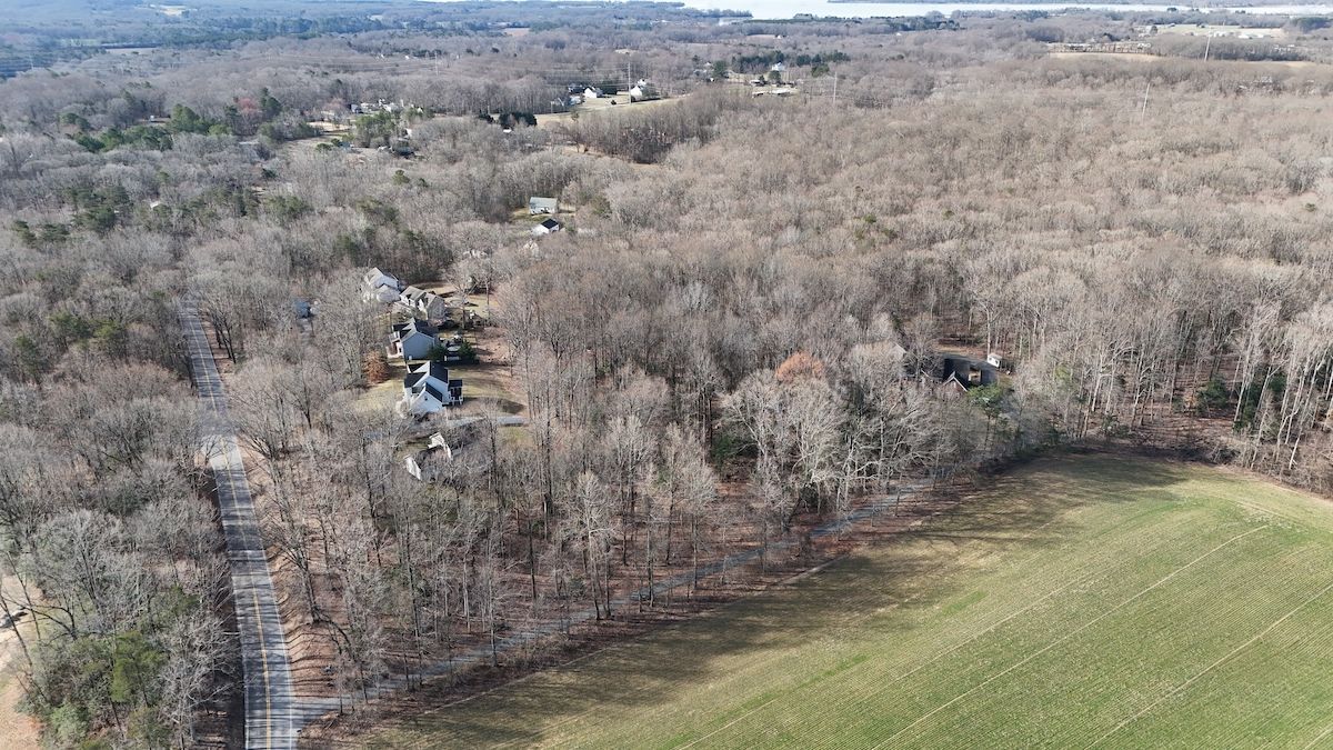 Prime Secluded Open Space Woodland Tract In Calvert County | Whitetail ...