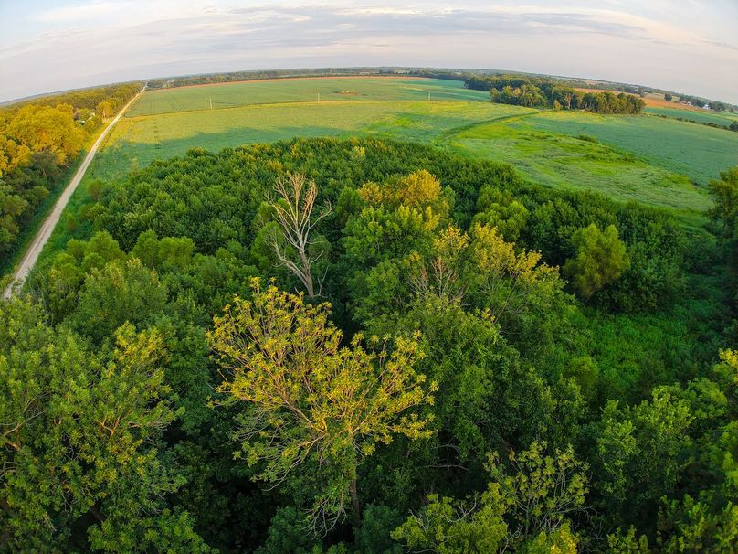 DJI_20250823070743_0919_D