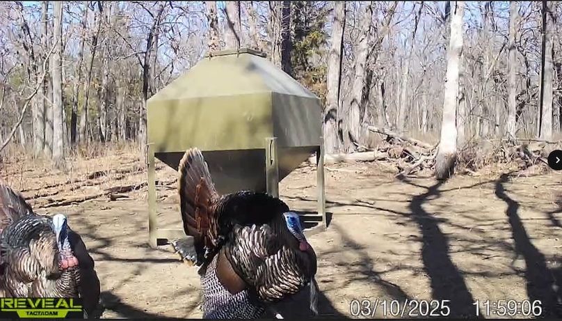 Screenshot_24-1-2026_82019_drive.google.com