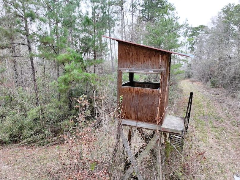 dji_fly_20260123_131606_0934_1769444776394_photo