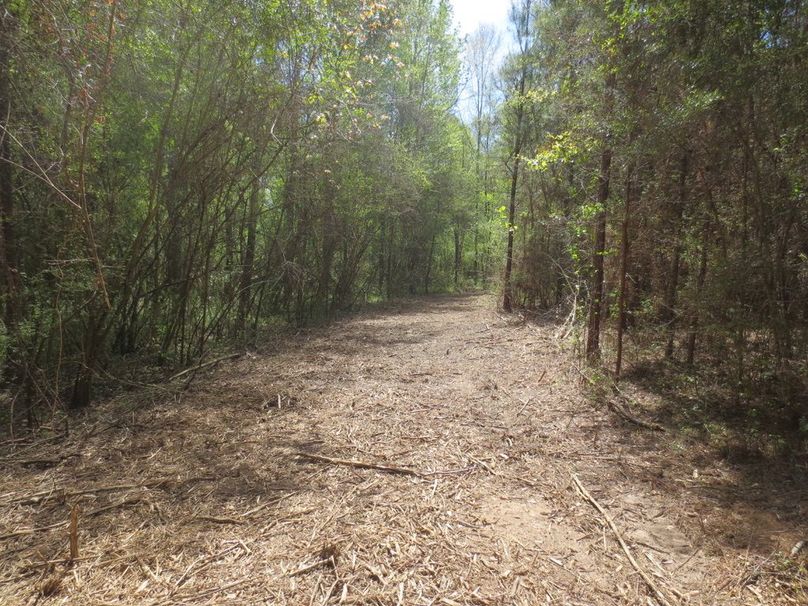 50270BFC-CC42-4703-96DB-3565D8367150_1_105_c