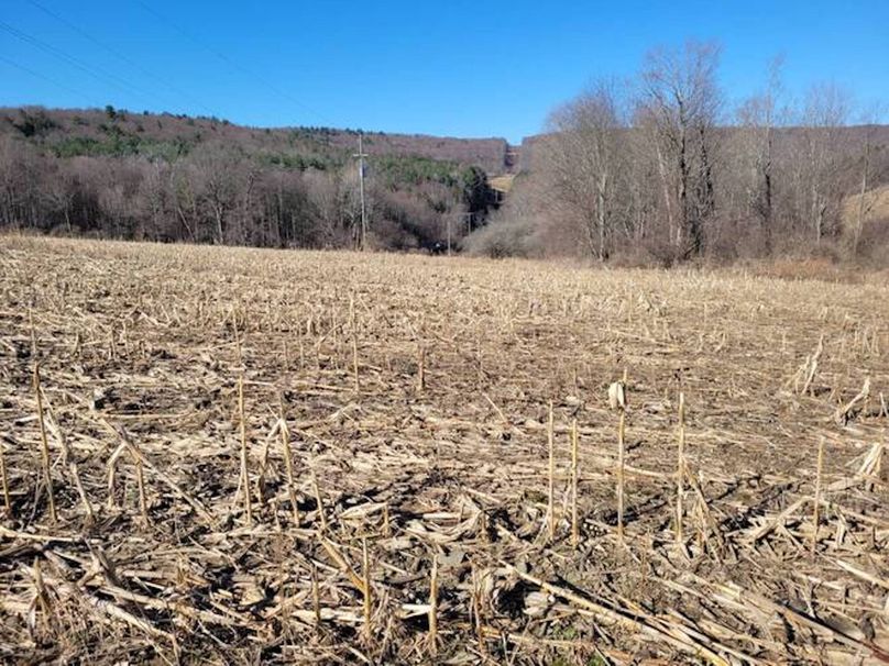 11067406-SB7xNwr3NPNBqTbh