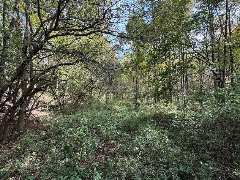 Tioga_30_Flanner Photo 17