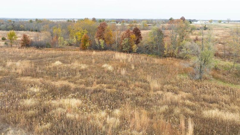 Livingston MO 130 Pro Photo-97