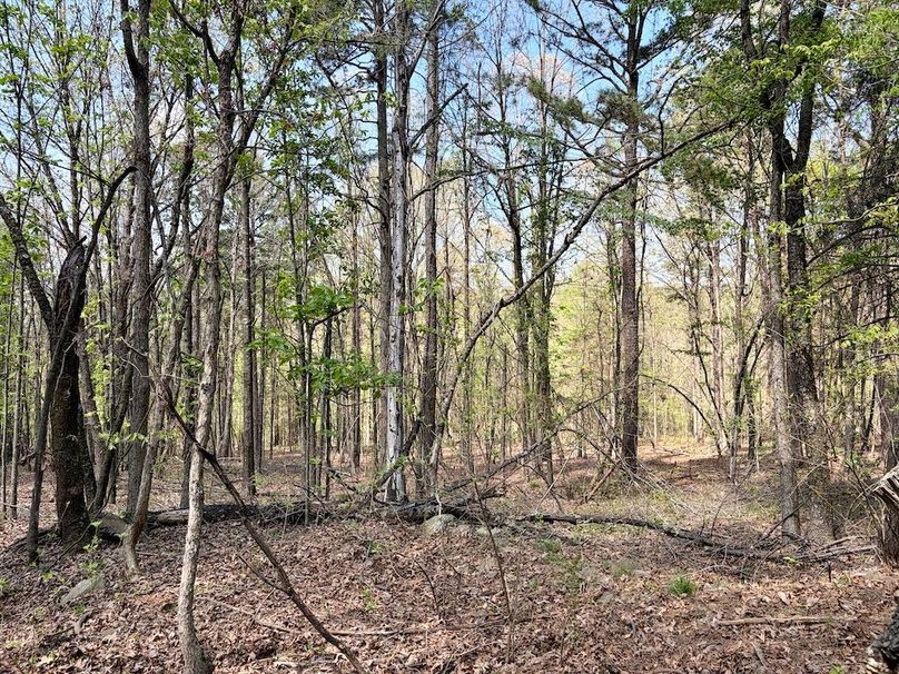 18B5A088-AF8A-4F09-AE5F-ABB1C97051DA_1_201_a