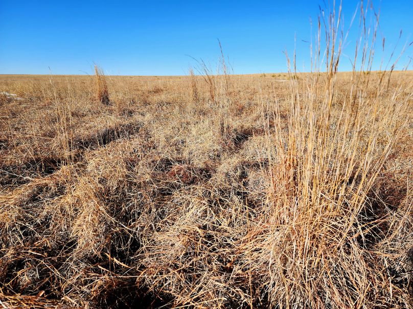 Copy of 20230208_085718