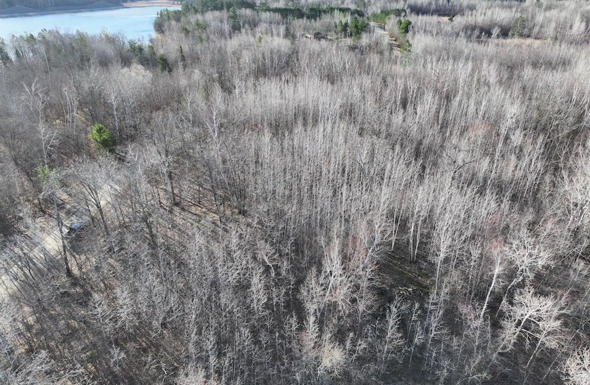 dji_fly_20250416_085908_0490_1744833049441_photo