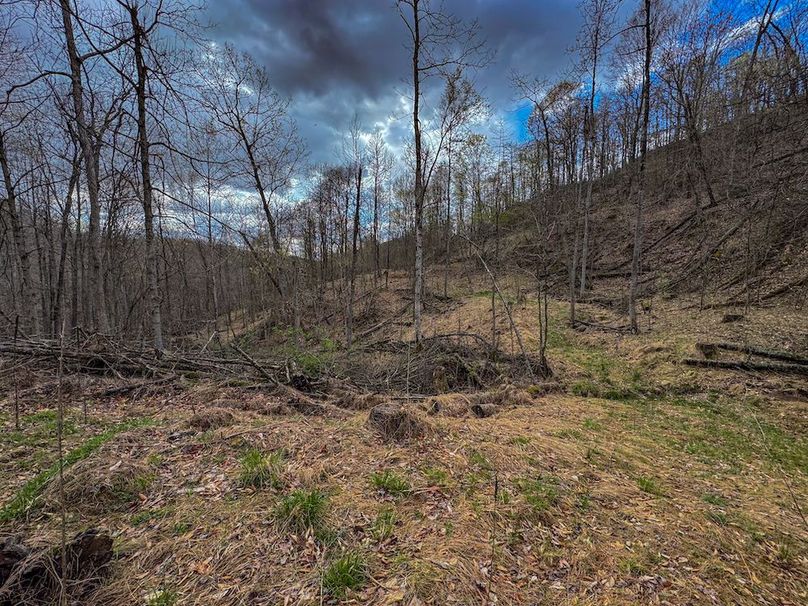 Wirt, WV 156.941 AC Full-15