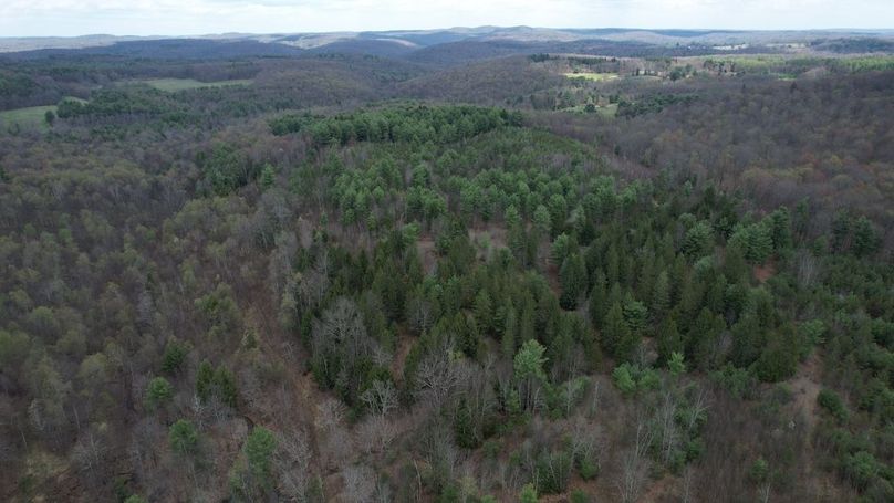 dji_fly_20260416_130310_250_1776359323963_photo