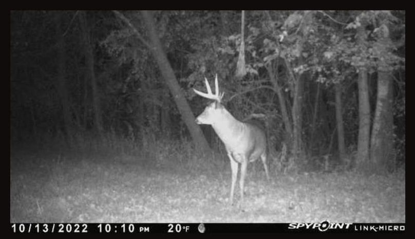 FB_IMG_1718028861277