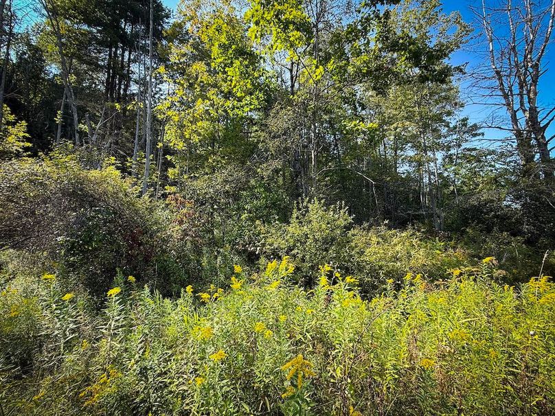 Tioga NY 86.705 Capwell Photos 5