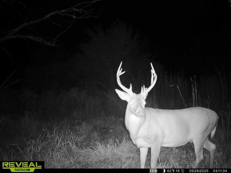 860322065515287-100-3-09282025162904-HD-SYEW5478