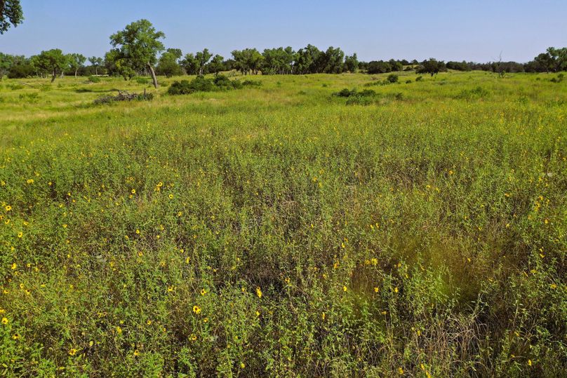 DJI_0079-Steves-Laptop