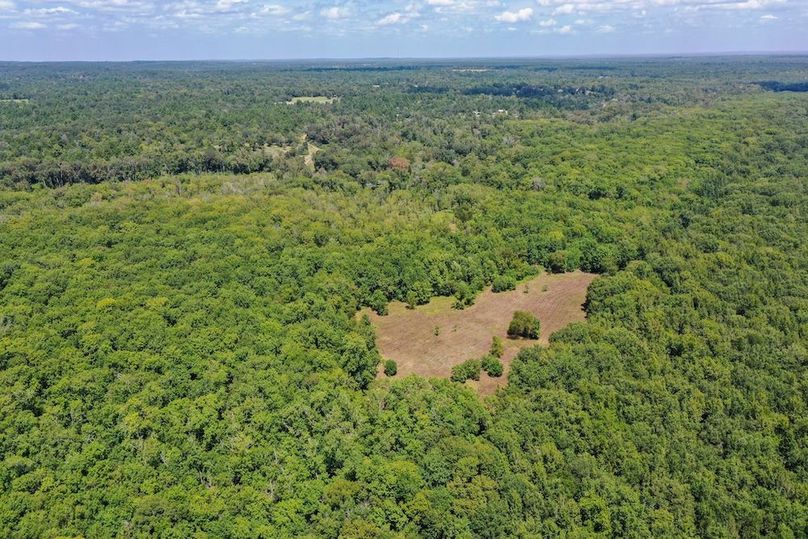 28 Leon Co. 117ac-22