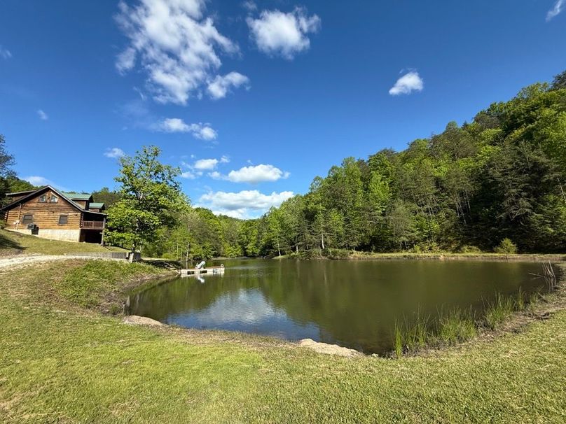 007 view of the pond when driving up along the driveway