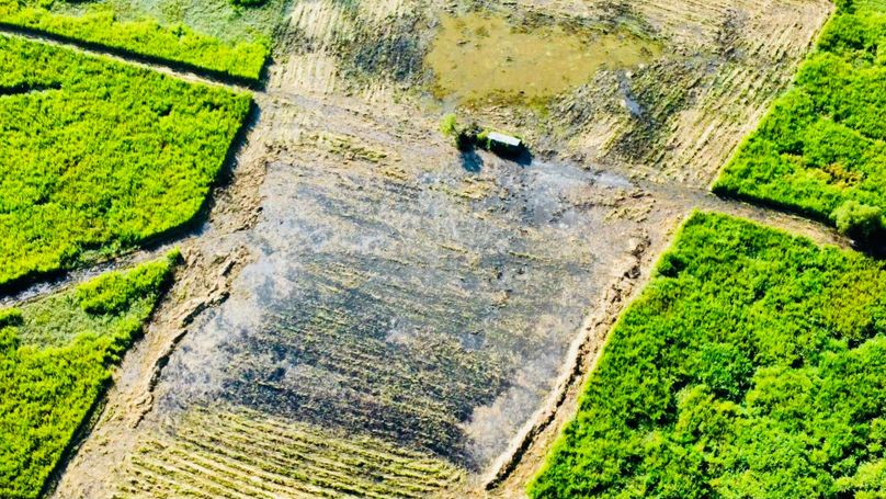 RemoteMediaFile_6553922_0_2022_09_11_08_58_32