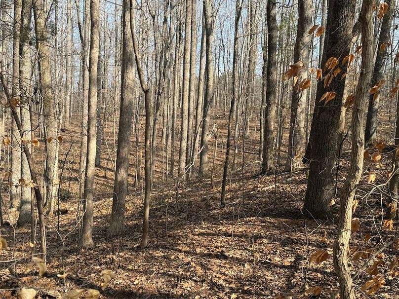 E1435E70-39FB-40A1-B4E2-2F3D775E32C4_1_102_o