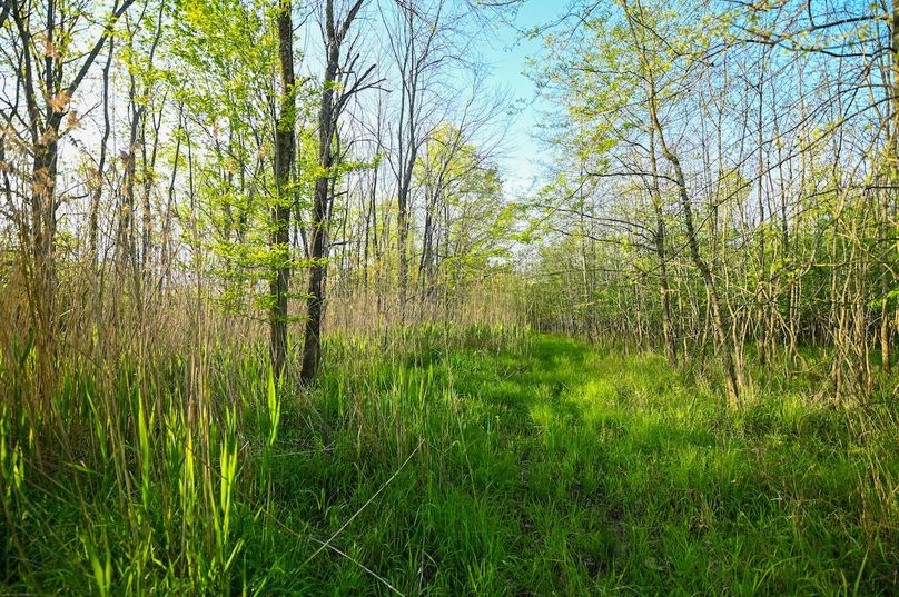 vandalia 450 (2)-2990