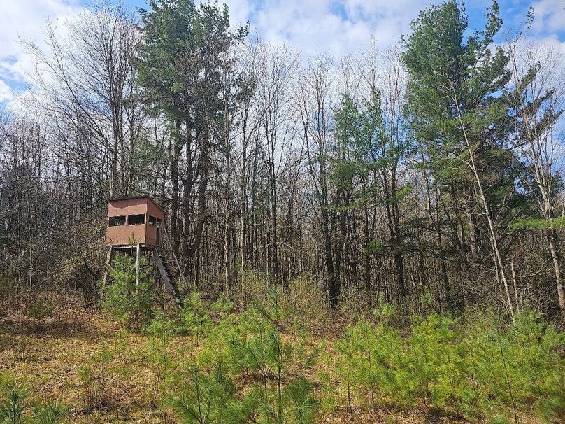 photo_11633ae9-4149-4f0a-8051-6e5437633c35