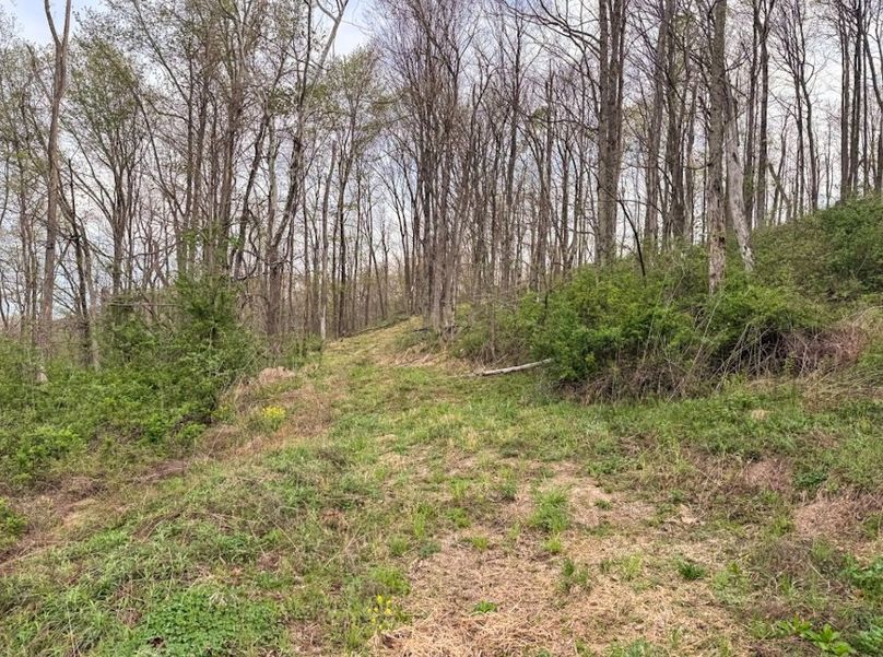 Screenshot 2026-04-21 at 11.36.49 AM