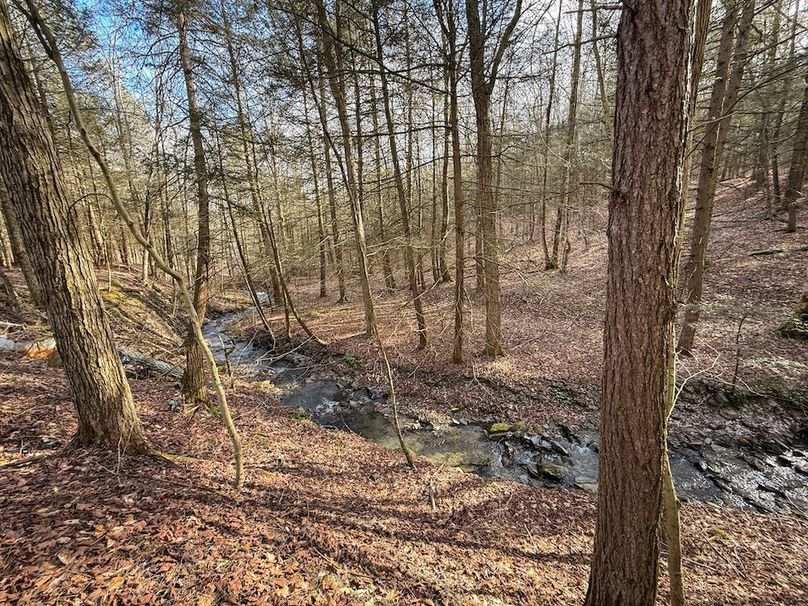 Chemung_59.65_Kocsis_photos_21