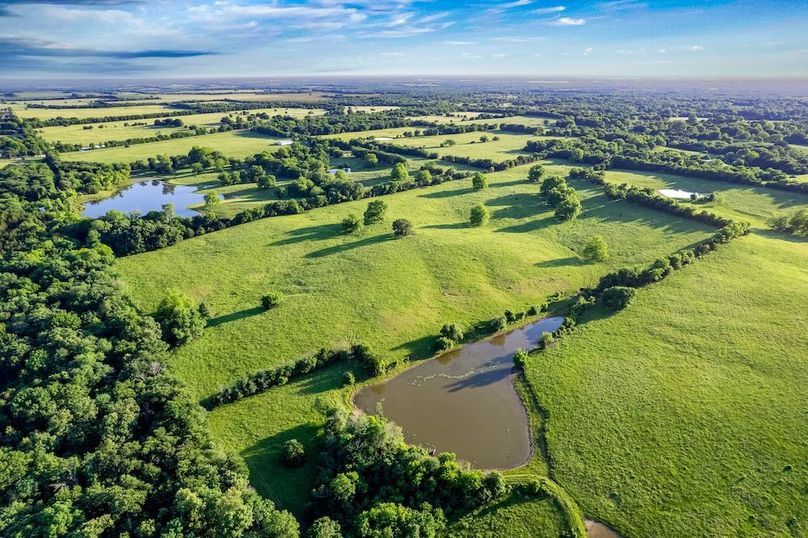 Fannin County- 134.4 acres-20