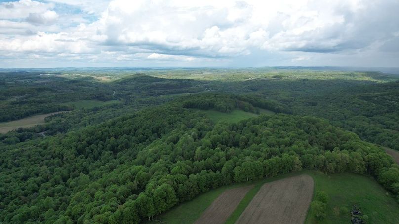 dji_fly_20250515_130542_250_1747328876673_photo