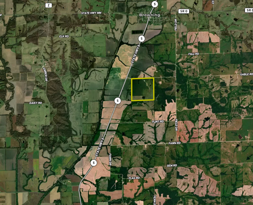 Screenshot 2026-03-19 at 2.11.09 PM