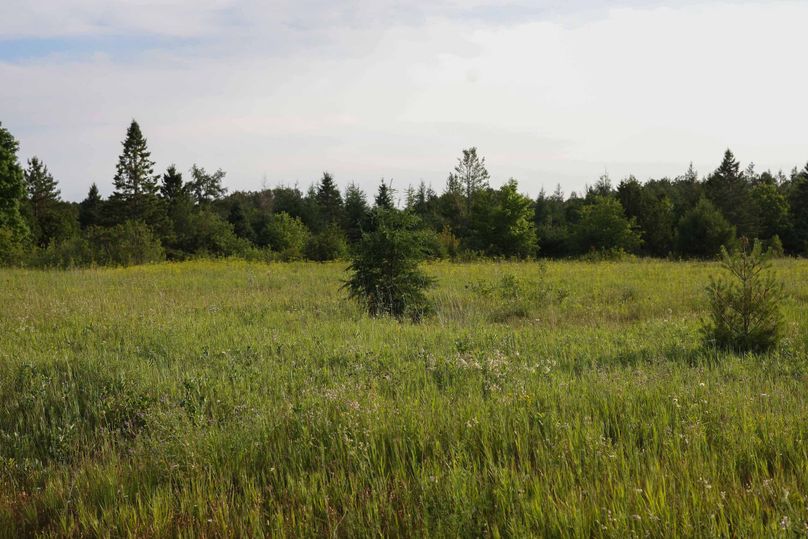 Mackinac20Fewins-6024